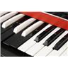 Fender Contempo 61-Key Organ Keyboard #54457