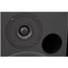 Event TR8 8" Active Studio Monitors w/ Monster Studio Pro 1000 XLR Cables #54865