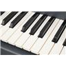 E-Mu Emulator II 61-Key 8-Voice Sampler Workstation Serviced & Amazing! #54711