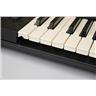 Rhodes Chroma Polaris 64-Key 6-Voice Analog Synthesizer Keyboard Serviced #56026