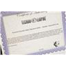 2007 Schecter Synyster Gates Custom Hard Tail Order 1 of 1 w/ COA #56462