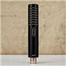 Royer R-101 Passive Ribbon Microphone w/ Case & Shockmount #56332