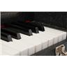Jenco 3-Octave Celeste / Celesta Bell Piano Keyboard #56825