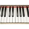 JenCo 3 Octave Celeste / Celesta Bell Piano Keyboard #56953