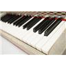 JenCo 3 Octave Celeste / Celesta Bell Piano Keyboard #56953