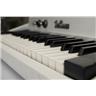 1972 Fender Rhodes Piano Bass Electric Keyboard White #55783