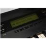 Korg Wavestation EX 61-Key Synthesizer Keyboard w/ Case & Sound Cards #57201