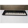 Korg Wavestation EX 61-Key Synthesizer Keyboard w/ Case & Sound Cards #57201
