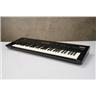 Korg Wavestation EX 61-Key Synthesizer Keyboard w/ Case & Sound Cards #57201