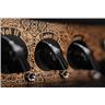 Bogner Helios Eclipse 100w Tube Amplifier w/ Footswitch #57454
