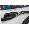 BAE 1073MPF Dual Channel Mic Preamplifier w/ PSU & Mogami Gold XLR Cables #57610