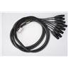 2 10' Mogami Gold DB25 - XLR Male & Female 8 Channel Snake Cables #57611