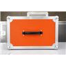 Trainwreck Guitar Head Amplifier ATA Flight Case Liverpool Rocket Express #57767