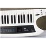 Roland AX-Synth Shoulder Synthesizer Keytar #57573