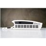 Roland AX-Synth Shoulder Synthesizer Keytar #57573