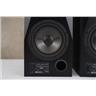 Adam S2A Active Monitors w/ Primacoustic Recoil Stabilizers & Mogami Gold #58846