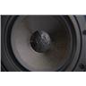 Adam S2A Active Monitors w/ Primacoustic Recoil Stabilizers & Mogami Gold #58846