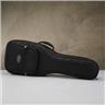 Reunion Blues RB Expedition Small Body Acoustic Case #58901