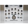 4ms Tapographic Delay Eurorack Module w/ Patch Cables #58922