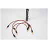 Strymon AA.1 Eurorack Module w/ Braided Patch Cables #58925