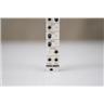 Antimatter Brain Seed Eurorack Module #58470