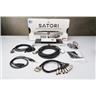 Antelope Satori Monitor Controller w/ R4S Remote & Mogami Gold Snakes! #58831