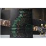 Scala Fat Bottom Girl #1 "Darling" NAMM Prototype Semi-Hollow-Body Guitar #59171