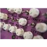 Montreal Assembly PURPLL Effects Pedal #58953