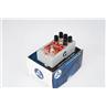 Catalinbread Talisman Plate Reverb Guitar Effects Pedal w/ Box #59249