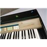 Farfisa Mini Compact Deluxe Keyboard Organ #59045