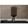AKG D12 Dynamic Microphone w/ Original Case #59335