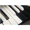 Vox V305 Continental Baroque Keyboard w/ Case #59085