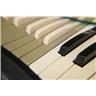 Rheem Mark VII Combo Organ #59135