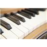 Wurlitzer 207 Classroom Electric Piano #59076