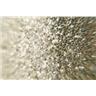 Ludwig Canister Throne Champagne Sparkle #59134