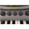 Korg Prophecy Solo 37 Key Monophonic Synthesizer #59314