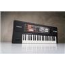 Roland VP-550 Vocal & Ensemble Keyboard #59317