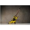 GMW Guitar Works SPE Stryper Pointy Explorer Oz Fox Style Guitar w/ Case #59636