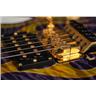David Thomas McNaught DST+ Star Guitar w/ Case #59699