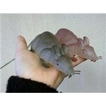 12" Glow in the Dark Fake Rubber Rat or Mouse