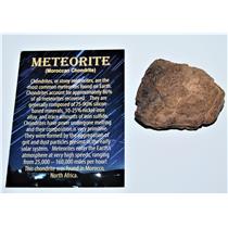 MOROCCAN Stony METEORITE Chondrite Genuine 88.1 grams  #13000