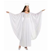 Angel White Adult Dress and Halo Standard Size Costume