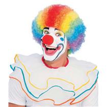 Multi Color Rainbow Clown Afro Adult Wig