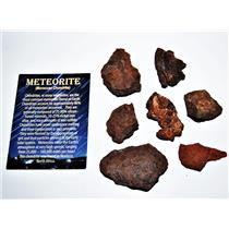 MOROCCAN Chondrite Stony METEORITE "B" Grade Lot 220.4 grams #14292 11o
