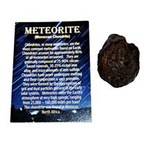 MOROCCAN Stony METEORITE Chondrite Genuine 71.1 grams w/color card #14644 6o