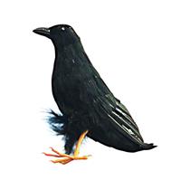 Giant Black Raven Bird Prop 10"