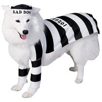 Prisoner Jail Bad Dog Black and White Convict Pet Costume Large