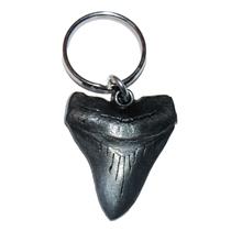 Megalodon Shark Tooth Metal KEYCHAIN (Fossil Replica)
