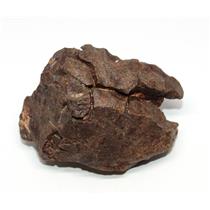 Chondrite MOROCCAN Stony METEORITE Genuine 181.4 grams w/ COA  #17131 12o