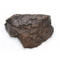 Chondrite MOROCCAN Stony METEORITE Genuine 141 grams w/ COA  #17139 7o